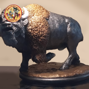 "Bison Bull with an Attitude"