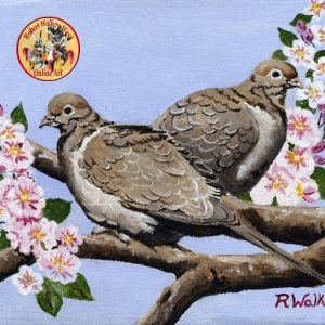 "Mourning Doves"
